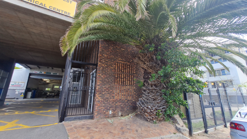 To Let commercial Property for Rent in Salt River Western Cape